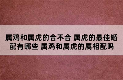 属鸡和属虎的合不合 属虎的最佳婚配有哪些 属鸡和属虎的属相配吗